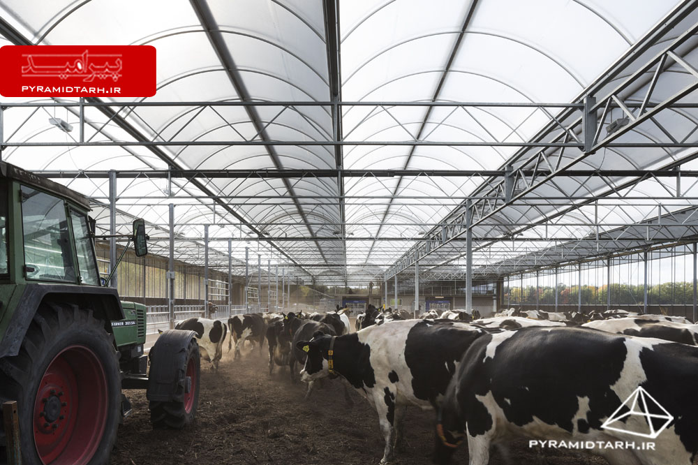 Vrijloopstal Hartman cattle stable/agricultural, Heibloem, Limburg province, The Netherlands.